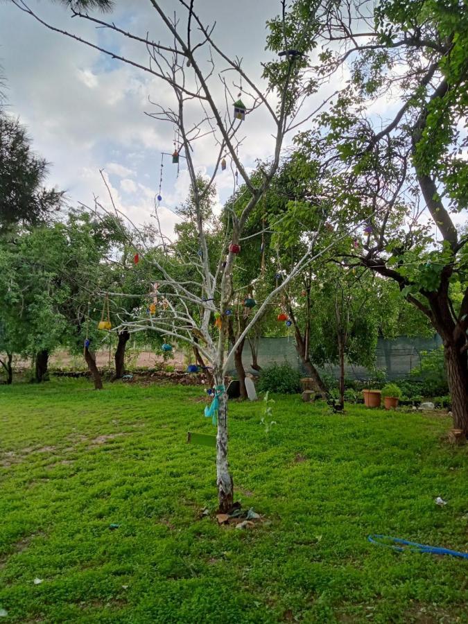 Yesilova  Salda Goelue Koca Kapi Konaklama المظهر الخارجي الصورة